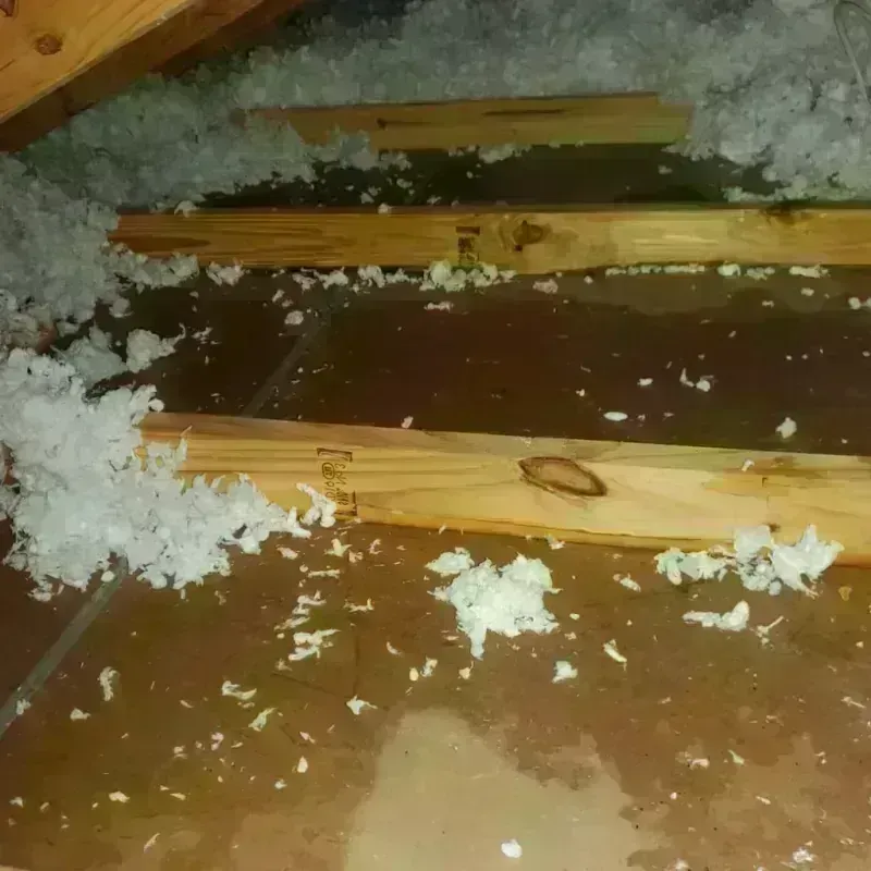 Attic Water Damage in Ocean Pointe, HI